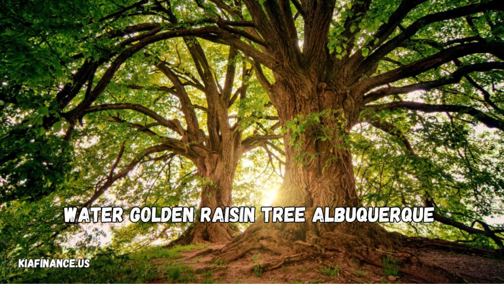 How Often To Water Golden Raisin Tree Albuquerque